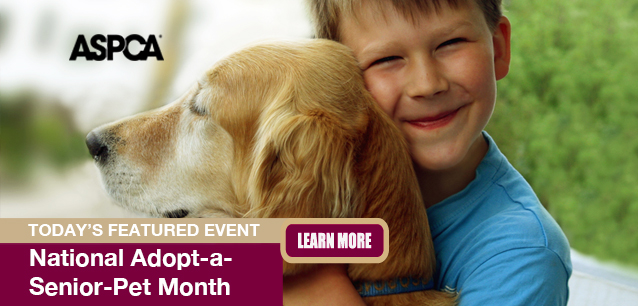 No image found National_Adopt-a-Senior-Pet_MonthF.png