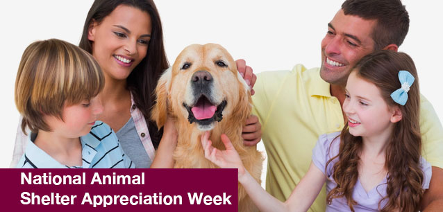 No image found National_Animal_Shelter_Appreciation_WeekE.png