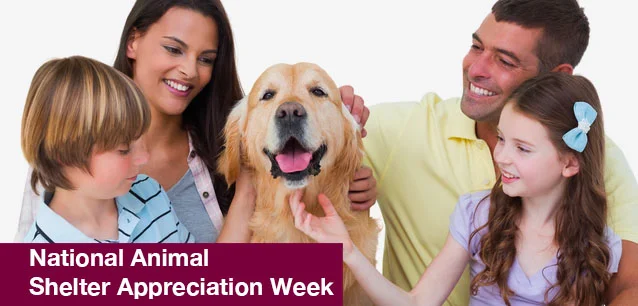 No image found National_Animal_Shelter_Appreciation_WeekE.webp