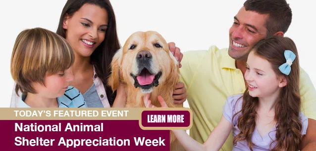 No Image found . This Image is about the event Animal Shelter Appreciation Week, Intl.: November 3-9. Click on the event name to see the event detail.