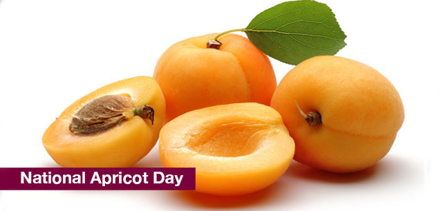 No image found National_Apricot_DayE.png