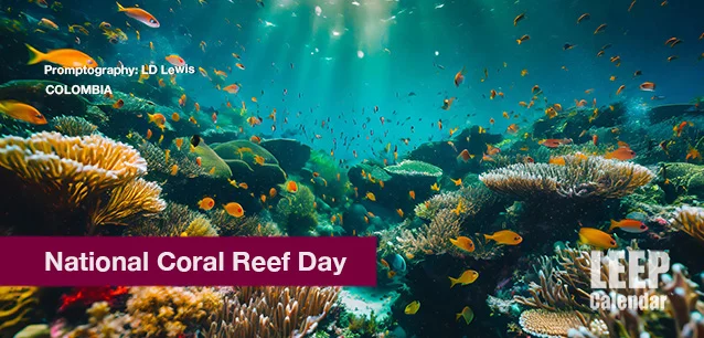 No image found National_Coral_Reef_Day_COE.webp