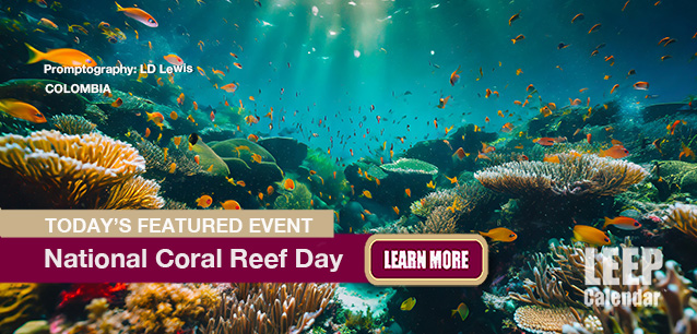 No Image found . This Image is about the event Reef, National Coral Reef Day (CO): December 5. Click on the event name to see the event detail.