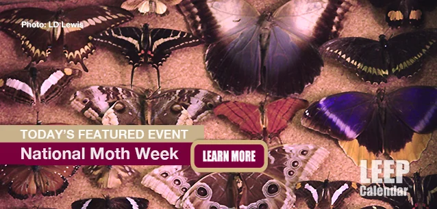 No Image found . This Image is about the event Moth Week, Ntl.: July 20-28. Click on the event name to see the event detail.