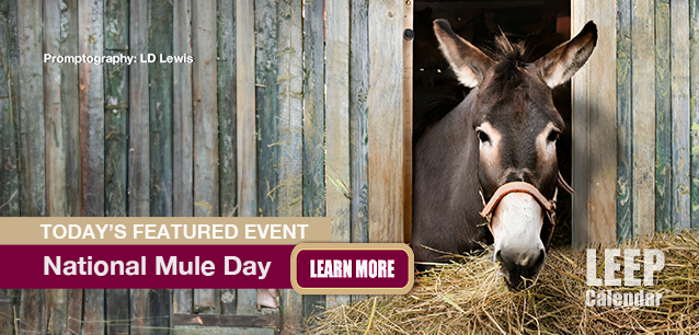 No Image found . This Image is about the event Mule Day, Ntl. (1785): October 26*. Click on the event name to see the event detail.