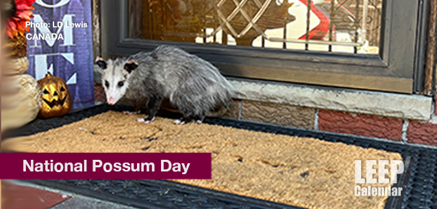 No image found National_Possum_DayE.png