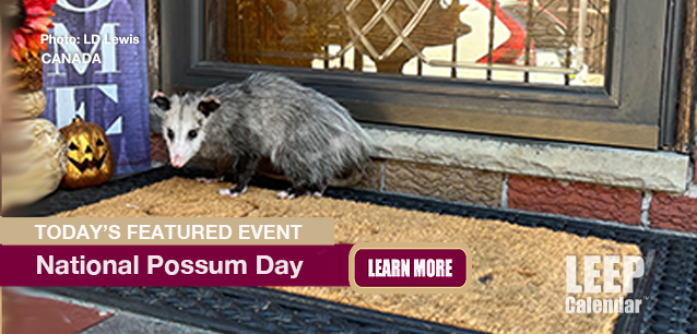 No Image found . This Image is about the event Opossum Day, Ntl. (CA): October 18. Click on the event name to see the event detail.