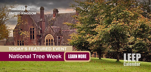 No Image found . This Image is about the event Tree Week, Ntl. (UK): November 23 - December 1 (est). Click on the event name to see the event detail.