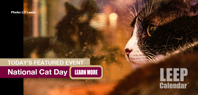 No Image found . This Image is about the event Cat Day, Ntl.: October 29 . Click on the event name to see the event detail.