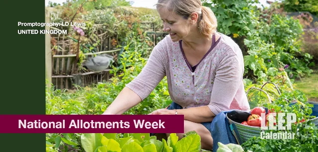 No image found Ntl_Allotments_WeekE.webp