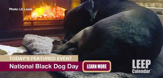 No Image found . This Image is about the event Black Dog Day, Ntl.: October 1. Click on the event name to see the event detail.