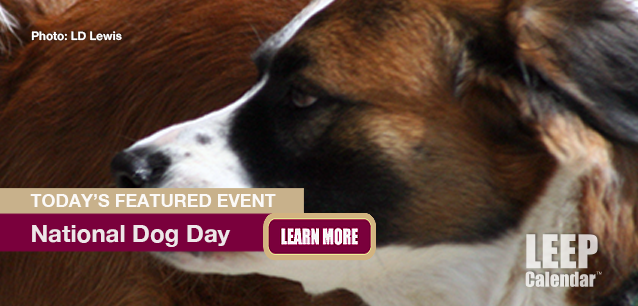 No Image found . This Image is about the event Dog Day, Ntl. (1980): August 26. Click on the event name to see the event detail.