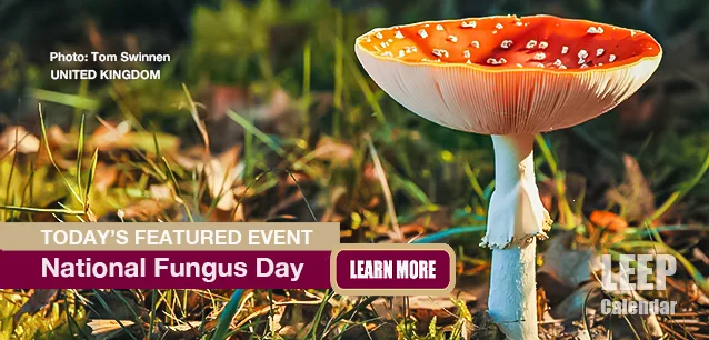 No Image found . This Image is about the event Fungus Day, Ntl. (UK): October 5 (est). Click on the event name to see the event detail.