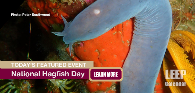 No Image found . This Image is about the event Hagfish Day, Ntl.: October 16. Click on the event name to see the event detail.