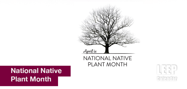 No image found Ntl_Native_Plant_MonthE.png