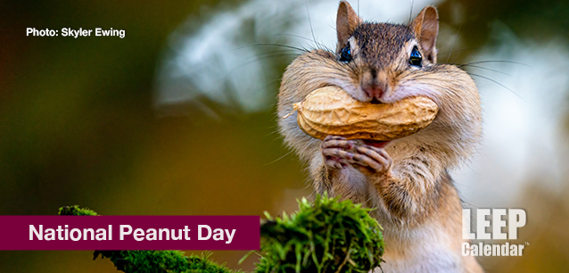 No image found Ntl_Peanut_DayE.png