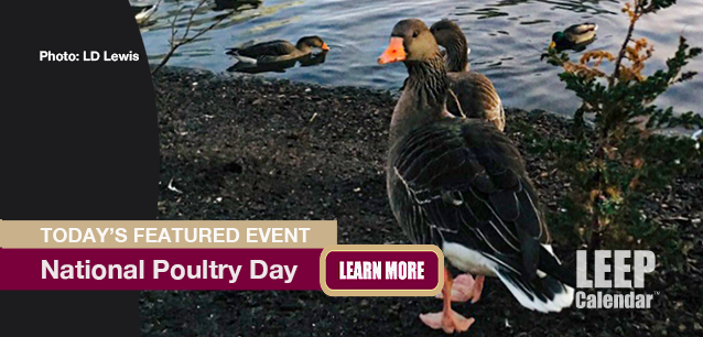 No Image found . This Image is about the event Poultry Day, Ntl.: March 19. Click on the event name to see the event detail.