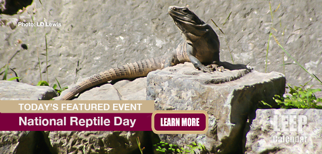 No Image found . This Image is about the event Reptile Day, Ntl.: October 21. Click on the event name to see the event detail.