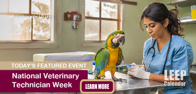 No Image found. This Image is about the event Veterinary Technician Week, Ntl.: October 20-26. Click on the event name to see the event detail.