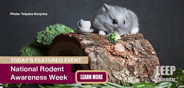 No Image found. This Image is about the event Rodent Awareness Week, Ntl.: October 20-26. Click on the event name to see the event detail.