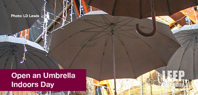 No image found Open_Umbrella_Indoor_DayE.webp