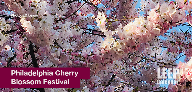 No image found PHL_Cherry_Blossom_FestivalE.png