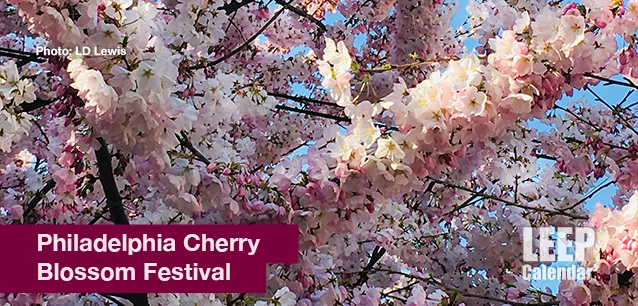 No image found PHL_Cherry_Blossom_FestivalE.webp