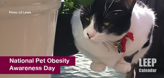 No image found Pet_Obesity_Awareness_DayE.png