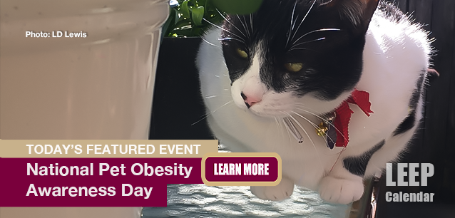 No Image found . This Image is about the event Pet Obesity Week, World: October 13-19 (est). Click on the event name to see the event detail.