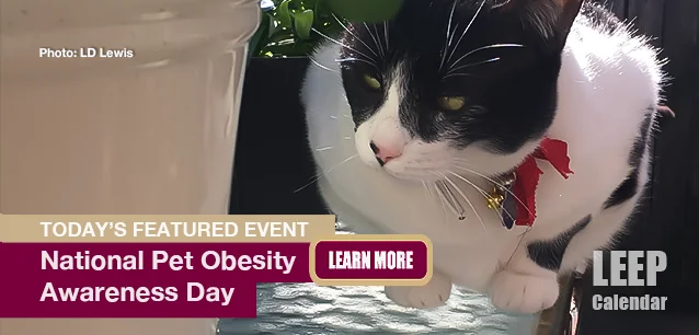 No Image found . This Image is about the event Pet Obesity Week, World: October 7-13. Click on the event name to see the event detail.