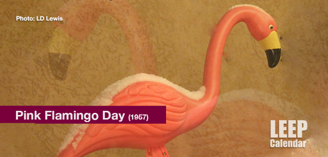 No image found PinkFlamingoDayE.png