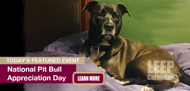 No Image found . This Image is about the event Pit Bull Appreciation Day, Ntl.: October 26. Click on the event name to see the event detail.