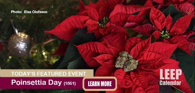 No Image found . This Image is about the event Poinsettia Day (1851): December 12. Click on the event name to see the event detail.