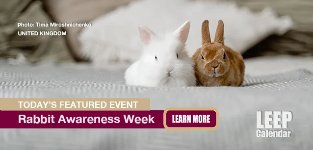 No Image found . This Image is about the event Rabbit Awareness Week (UK): June 24-28 (est). Click on the event name to see the event detail.
