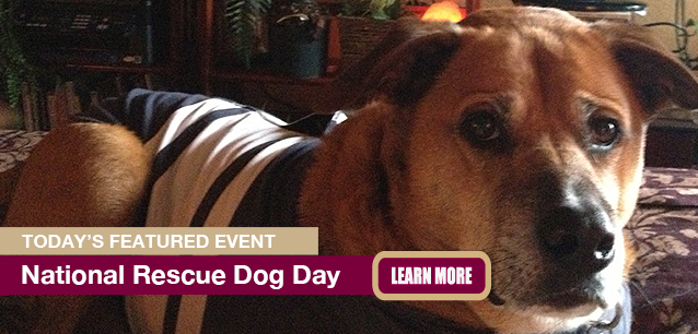 No Image found . This Image is about the event Rescue Dog Day, Ntl: May 20. Click on the event name to see the event detail.
