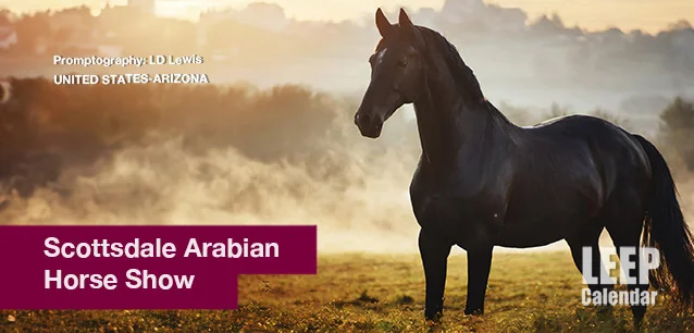 No image found Scotsdale-Arabian-Horse-Show-E.webp