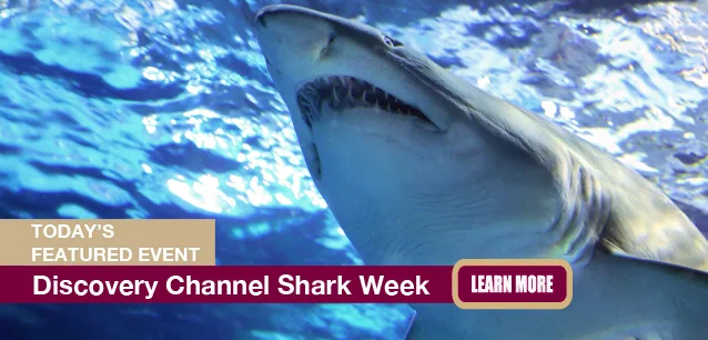 No Image found . This Image is about the event Shark Week: July 7-13. Click on the event name to see the event detail.