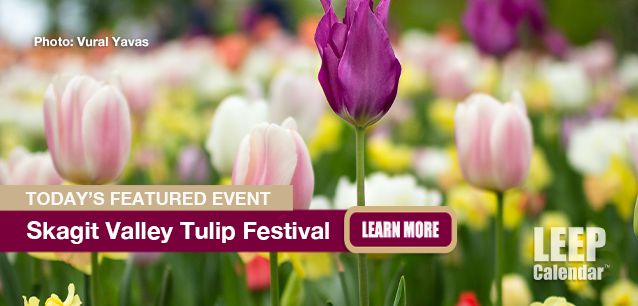 No image found Skagit-Valley-Tulip-FestivalE.png