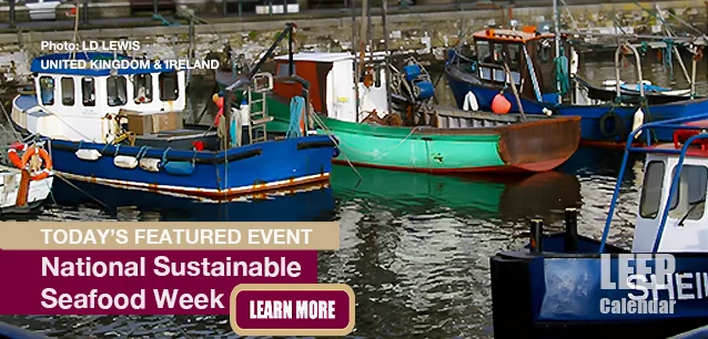 No Image found . This Image is about the event Sustainable Seafood Week, Ntl. (UK/IE): September 20-27 (est). Click on the event name to see the event detail.