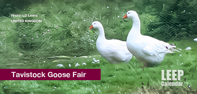 No image found Tavistock_Goosey_FairE.png