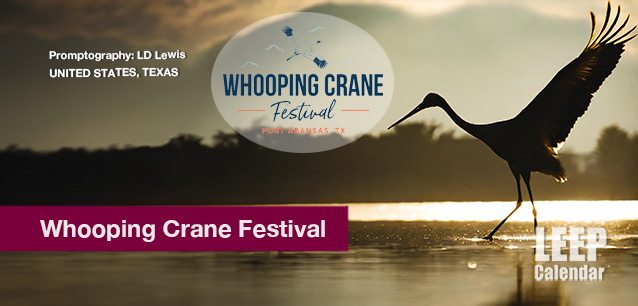 No image found Whooping-Crane-Festival-TX-E.png