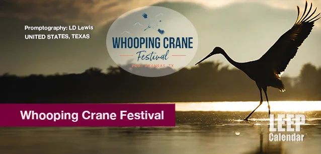 No image found Whooping-Crane-Festival-TX-E.webp