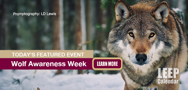 No Image found . This Image is about the event Wolf Awareness Week, Intl: October 20-26 . Click on the event name to see the event detail.