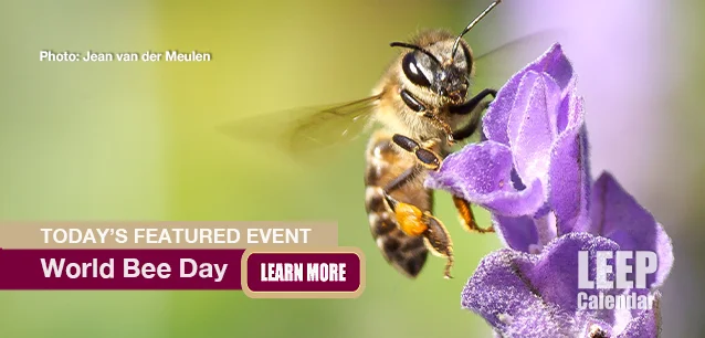 No Image found . This Image is about the event Bee Day, World: May 20. Click on the event name to see the event detail.