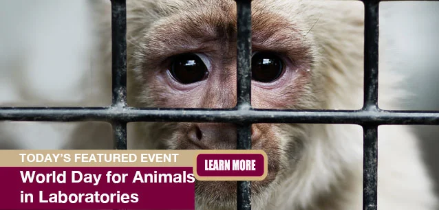 No Image found . This Image is about the event Animals, Laboratory Animals, World Day for: April 24. Click on the event name to see the event detail.