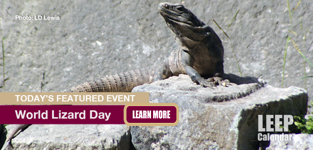 No Image found . This Image is about the event Lizard Day, World: August 14. Click on the event name to see the event detail.