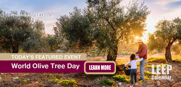 No Image found . This Image is about the event Olive Tree Day, World: November 26. Click on the event name to see the event detail.