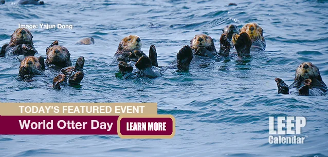 No Image found . This Image is about the event Otter Day, World: May 29. Click on the event name to see the event detail.