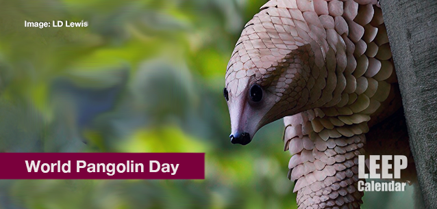 No image found World_Pangolin_DayE.png