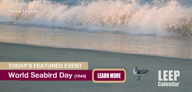 No Image found . This Image is about the event Seabird Day, World (1844): July 3 . Click on the event name to see the event detail.